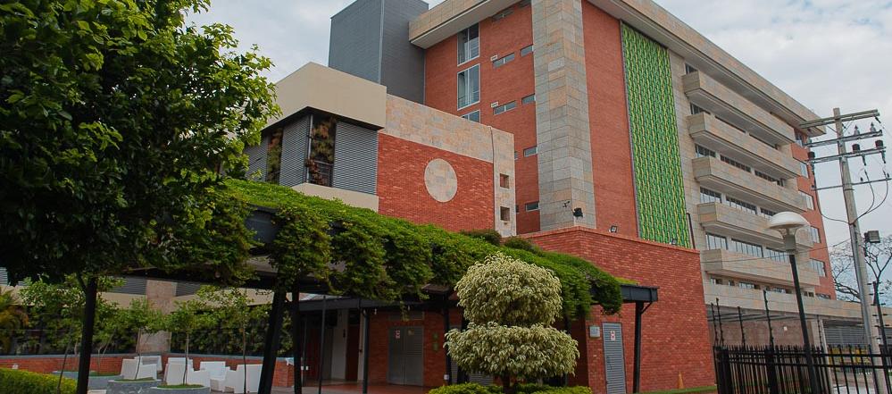 Imagen de referencia.