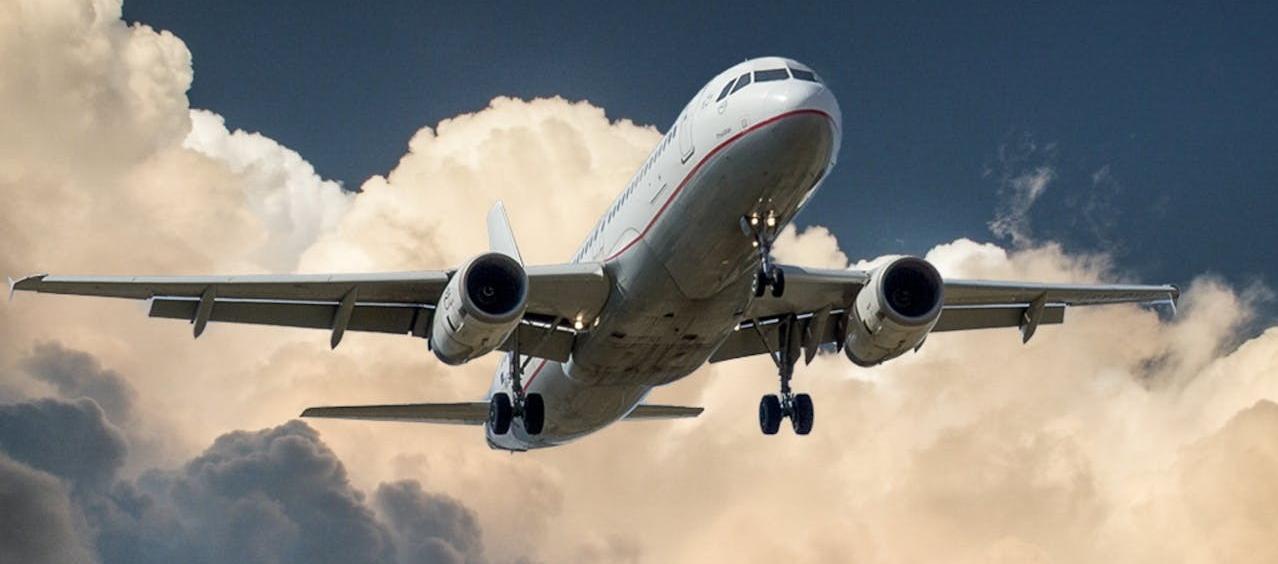 Imagen de referencia.