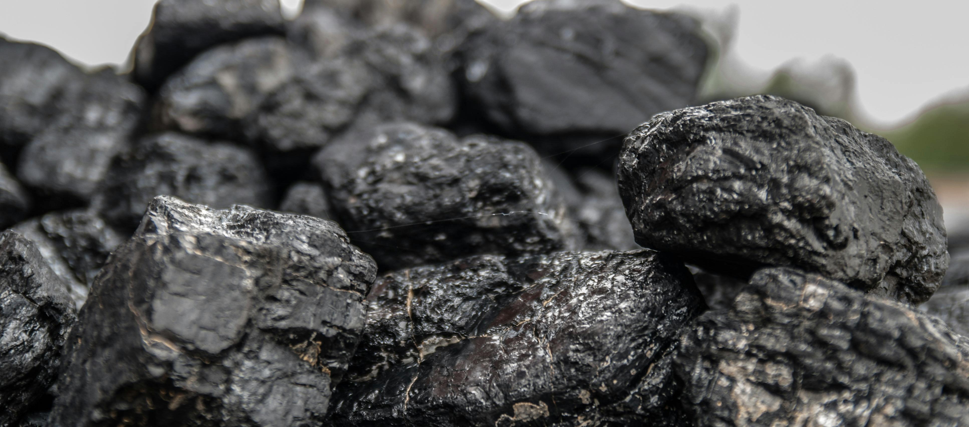 Imagen de referencia.