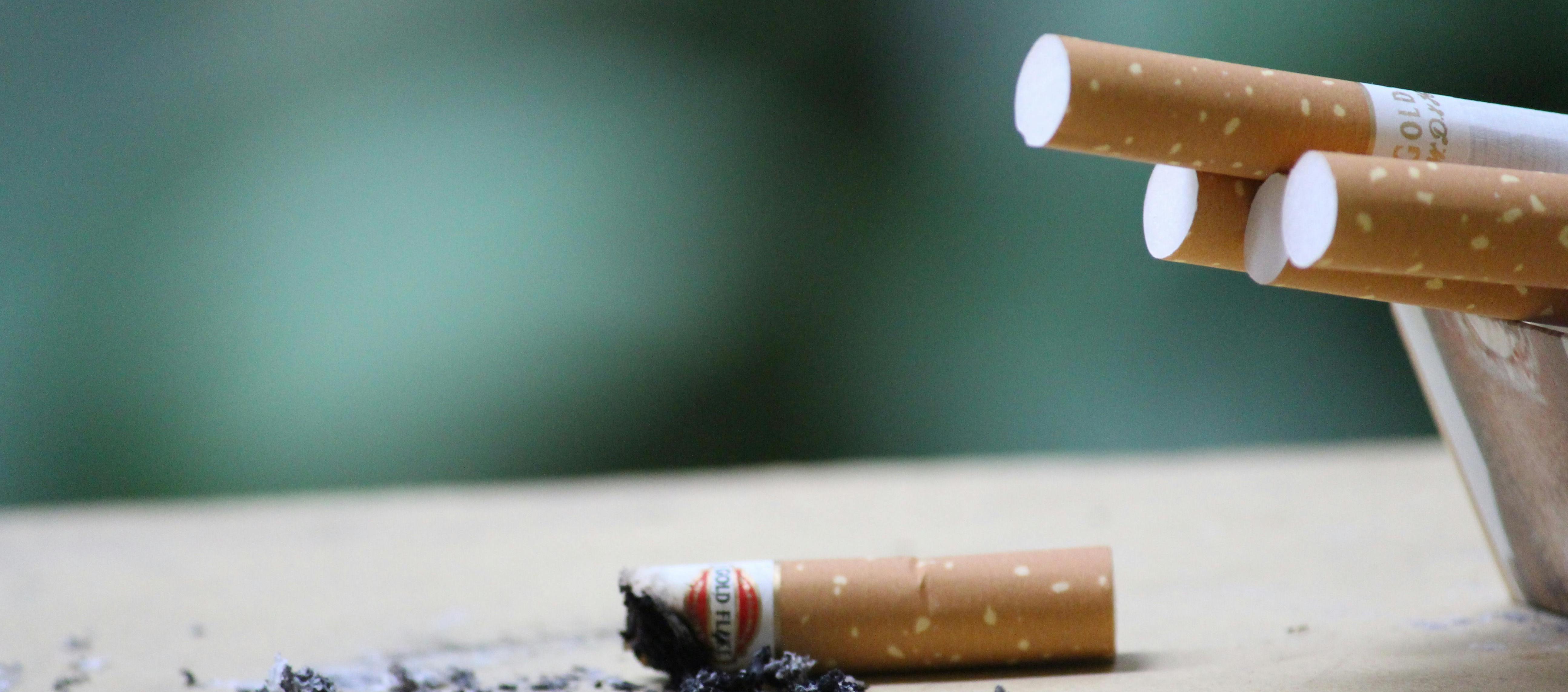 Imagen de referencia.