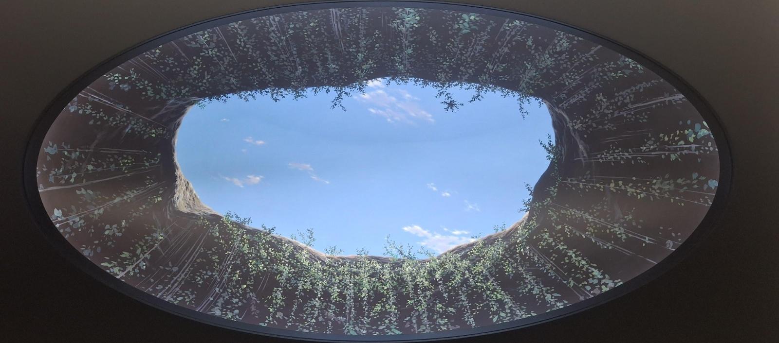 'Vértice y Horizonte': la exposición que fusiona naturaleza y arte en Barranquilla