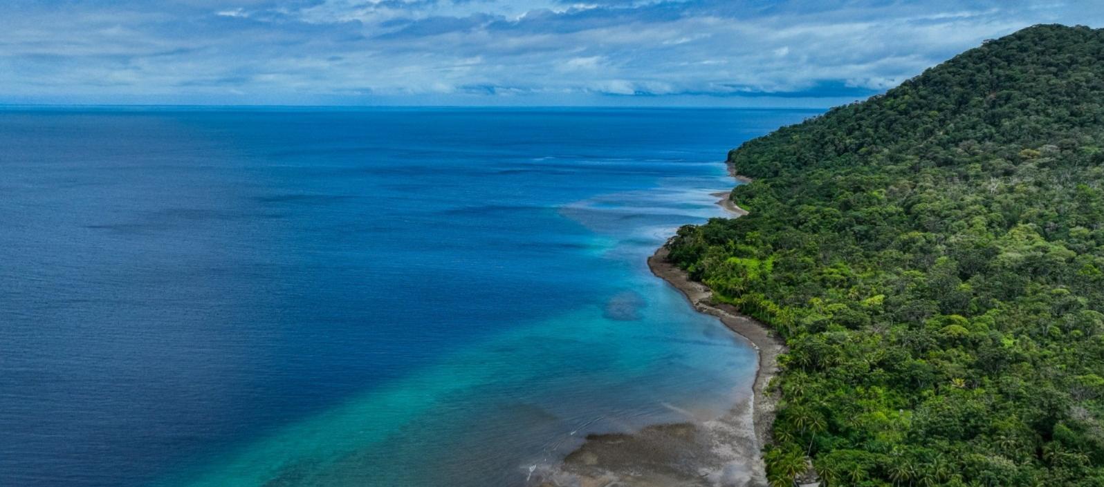 Isla Gorgona, en el Pacífico.