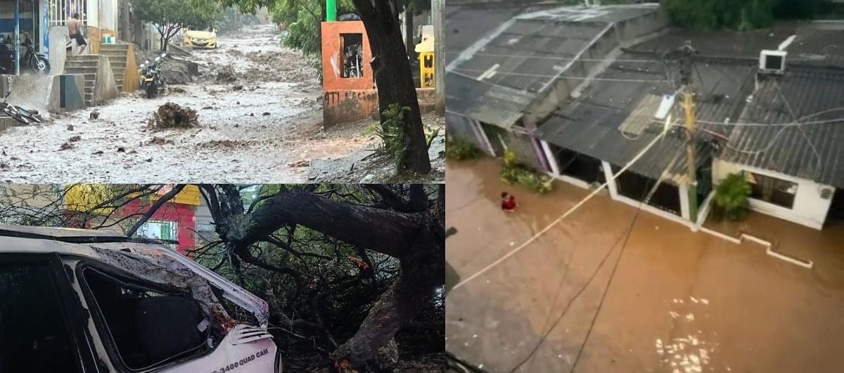 Imágenes de las afectaciones.