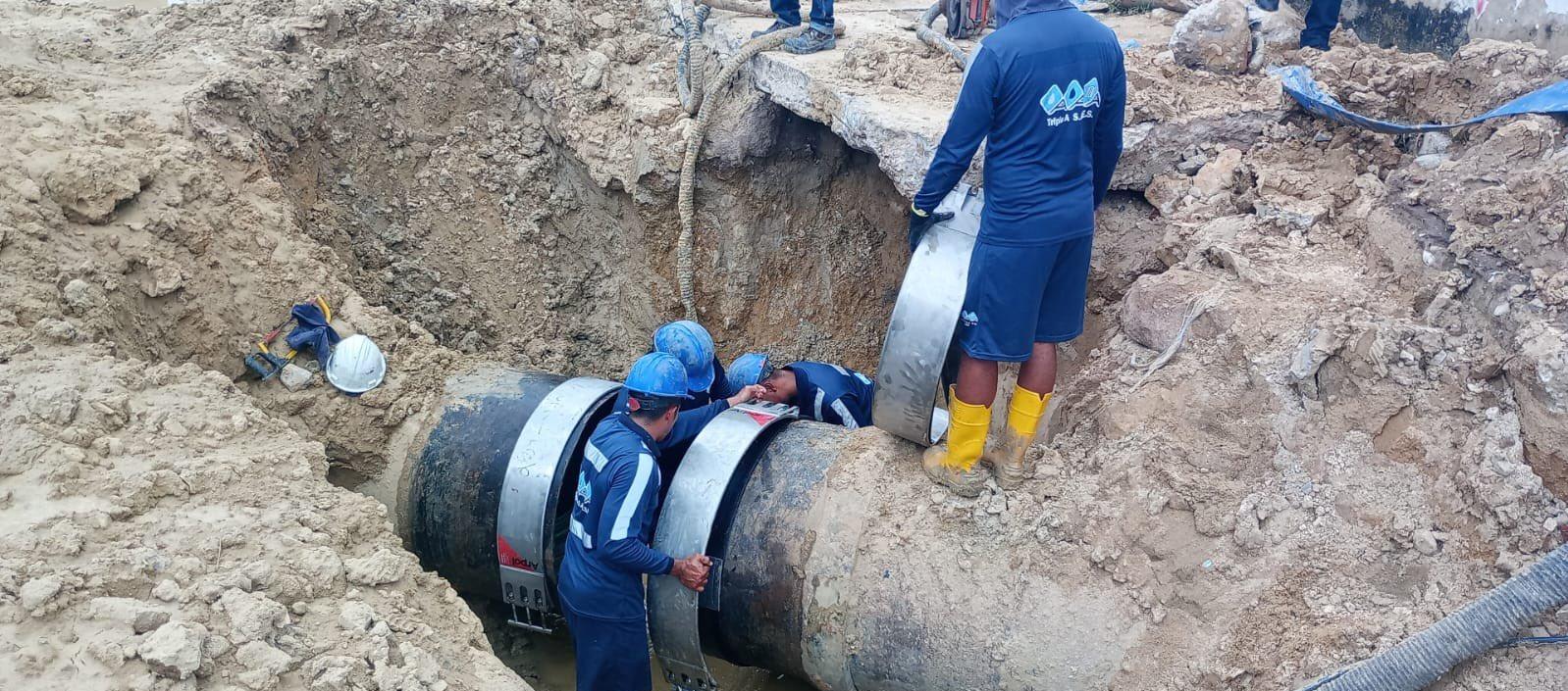 Imagen de referencia.