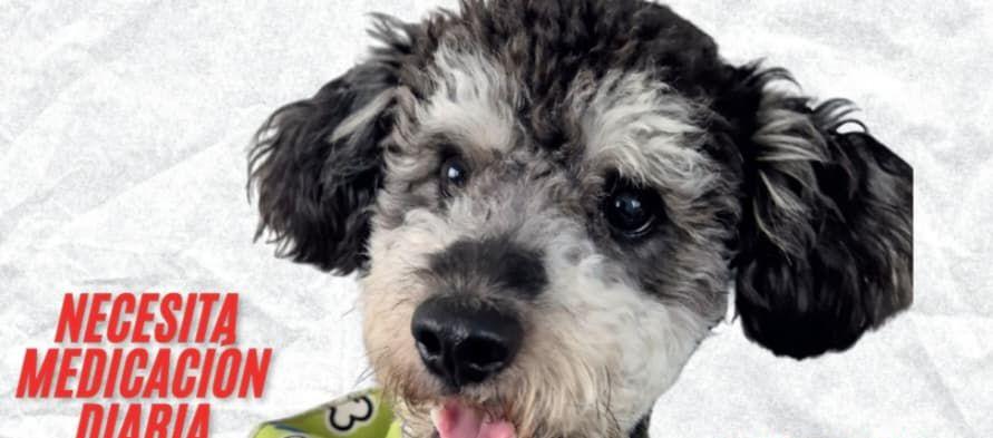 Cualquier información, comunicarse a los números 3015788567 – 3150637847.  