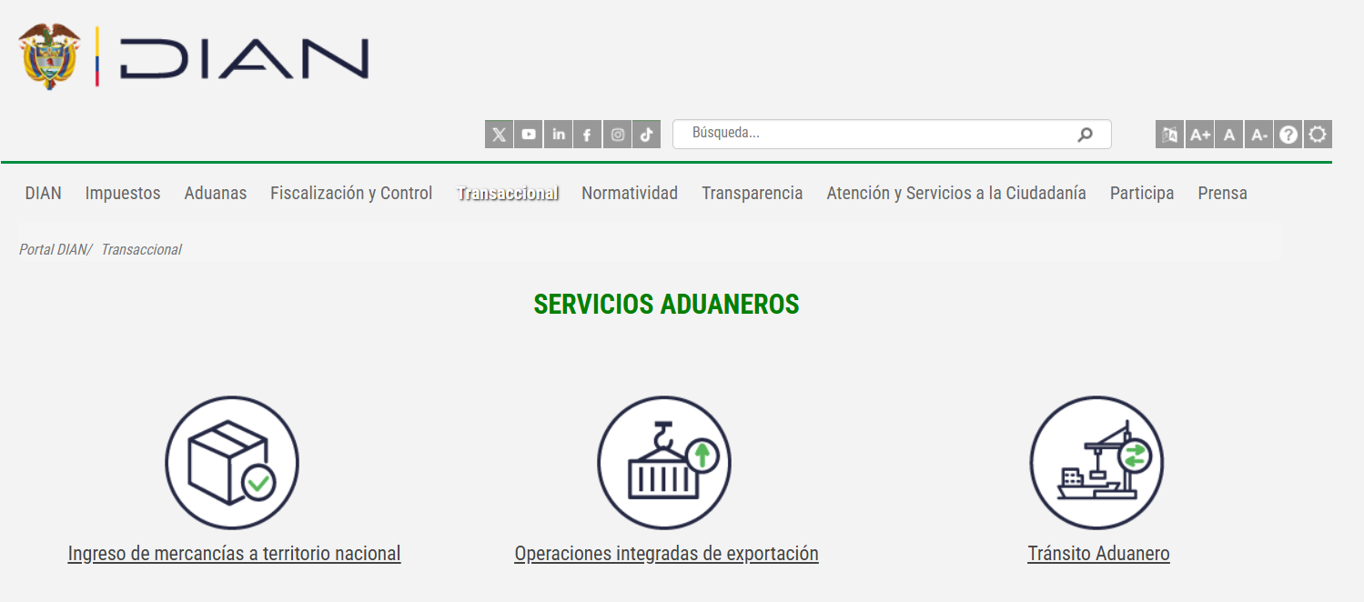 Pagina web de la Dian. 