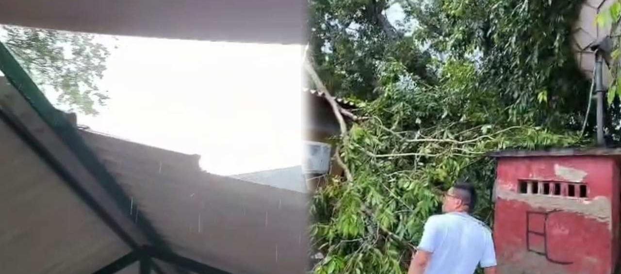 Daños en la infraestructura del colegio. 