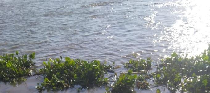 Lugar donde fue hallado.