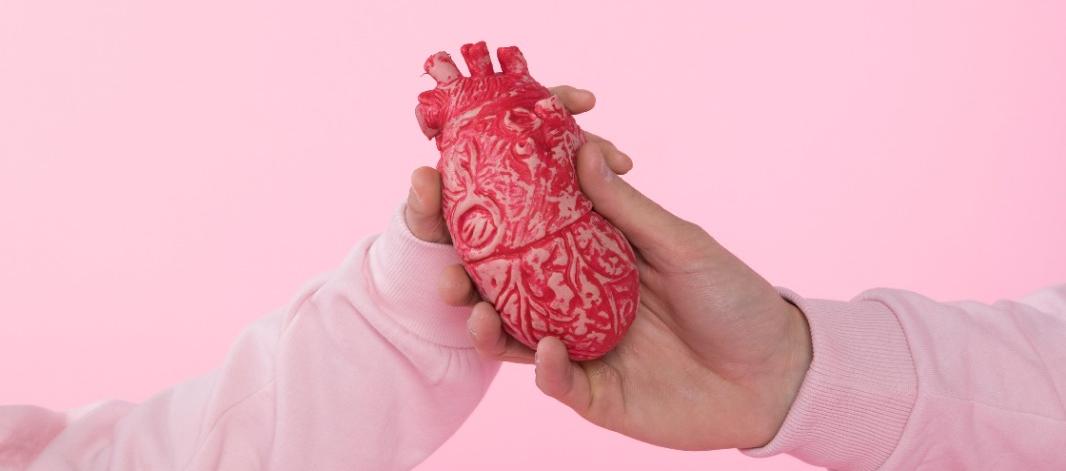 Día Mundial del Corazón.