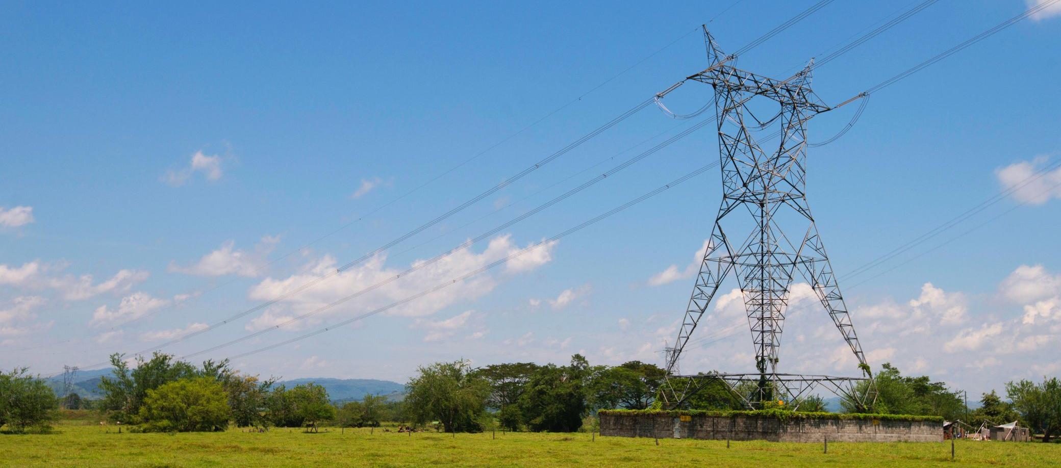 Imagen de referencia.