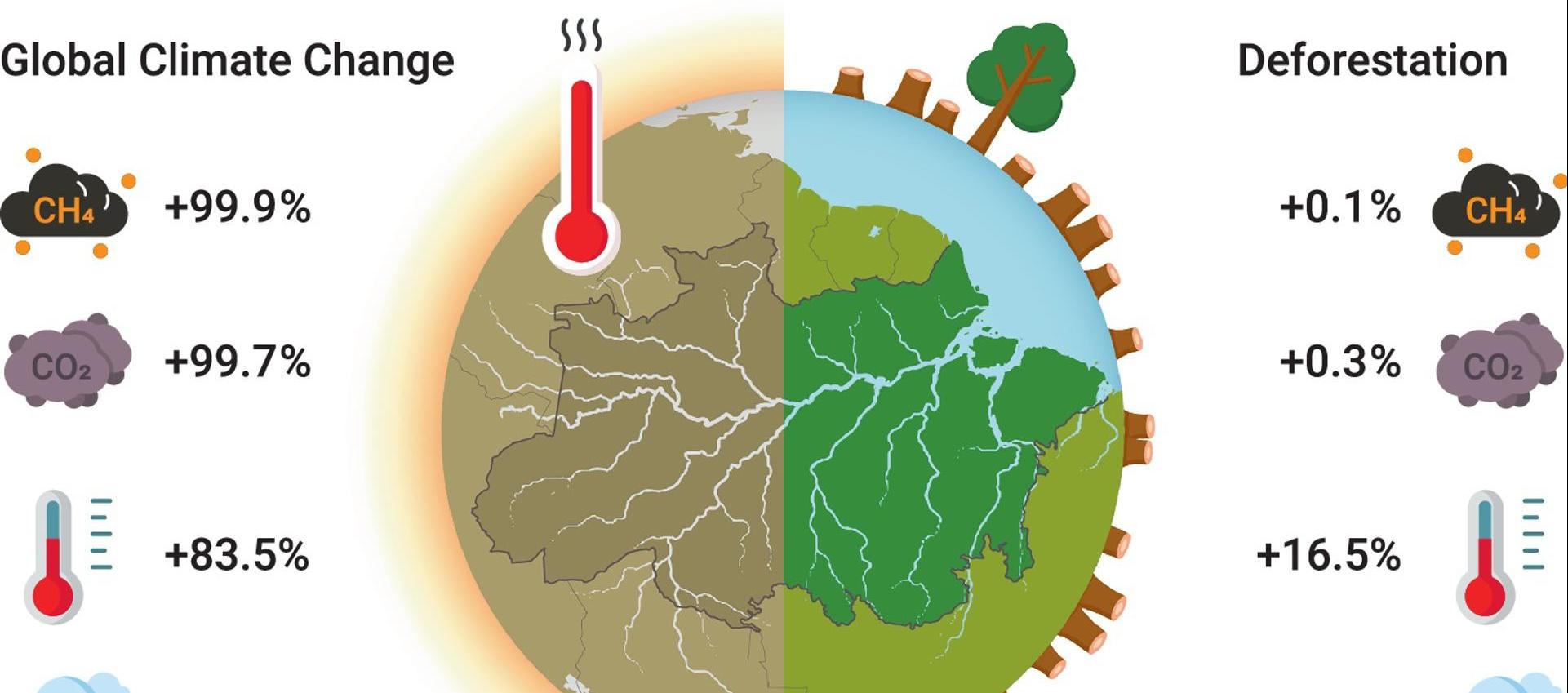 Gráfico que revela el porcentaje de contribución a las alteraciones ambientales en la Amazonía.
