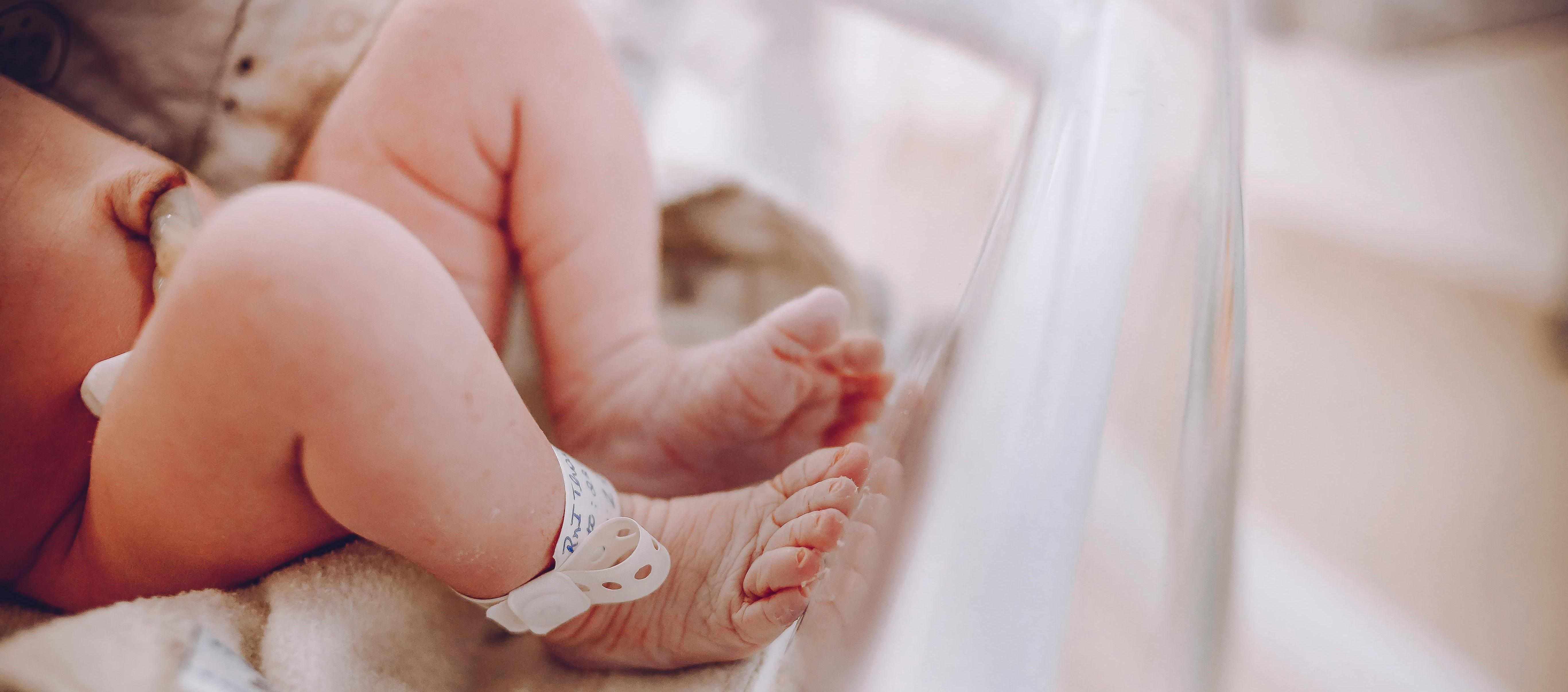 Imagen de referencia.