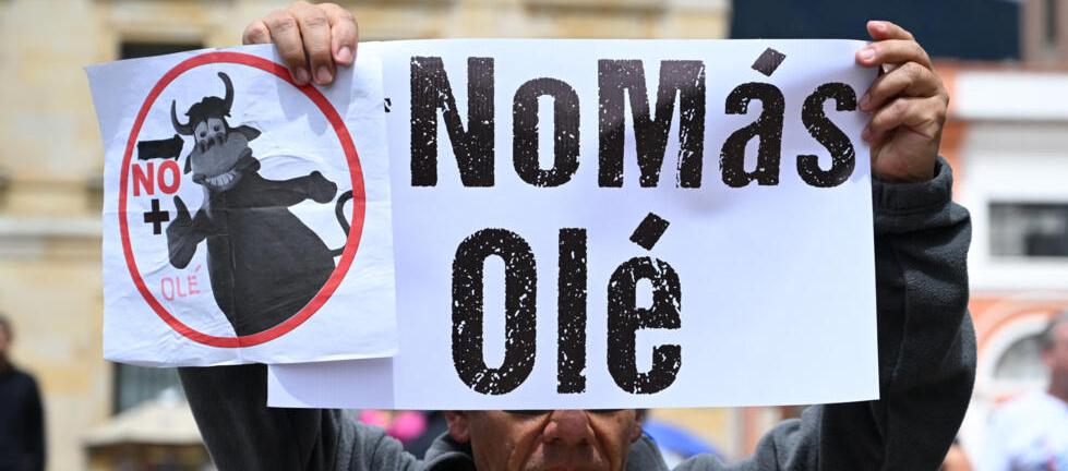 Ley conocida como No más Olé.