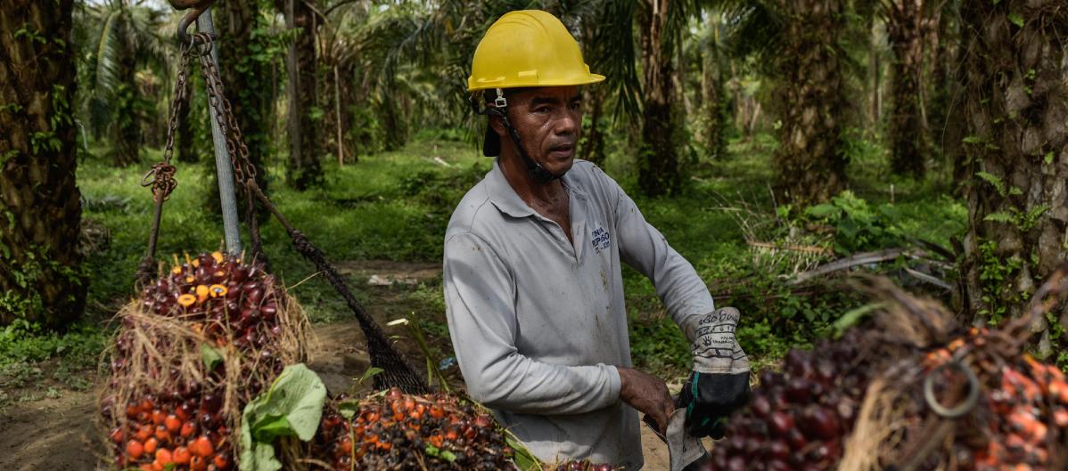 El evento se realizará del 23 al 25 de septiembre en Cartagena. 