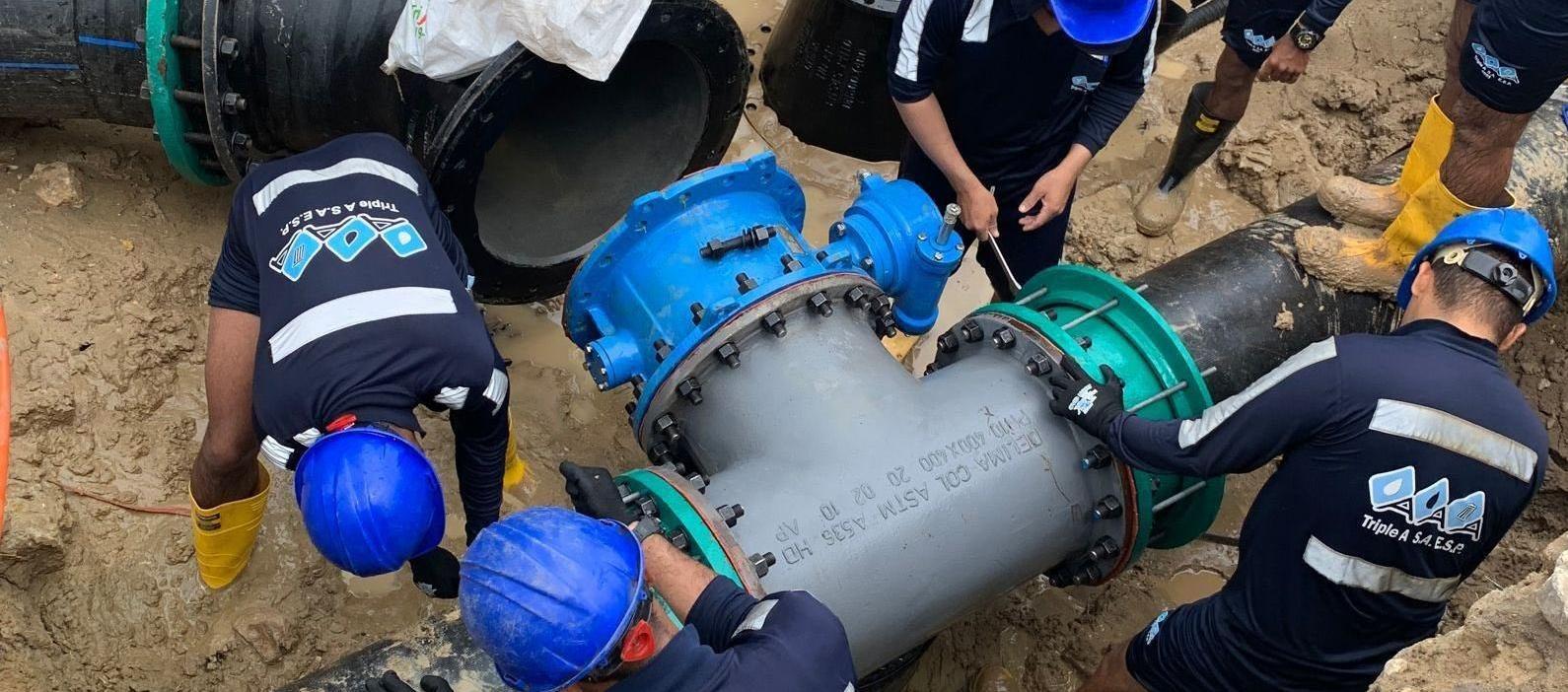 Imagen de referencia.