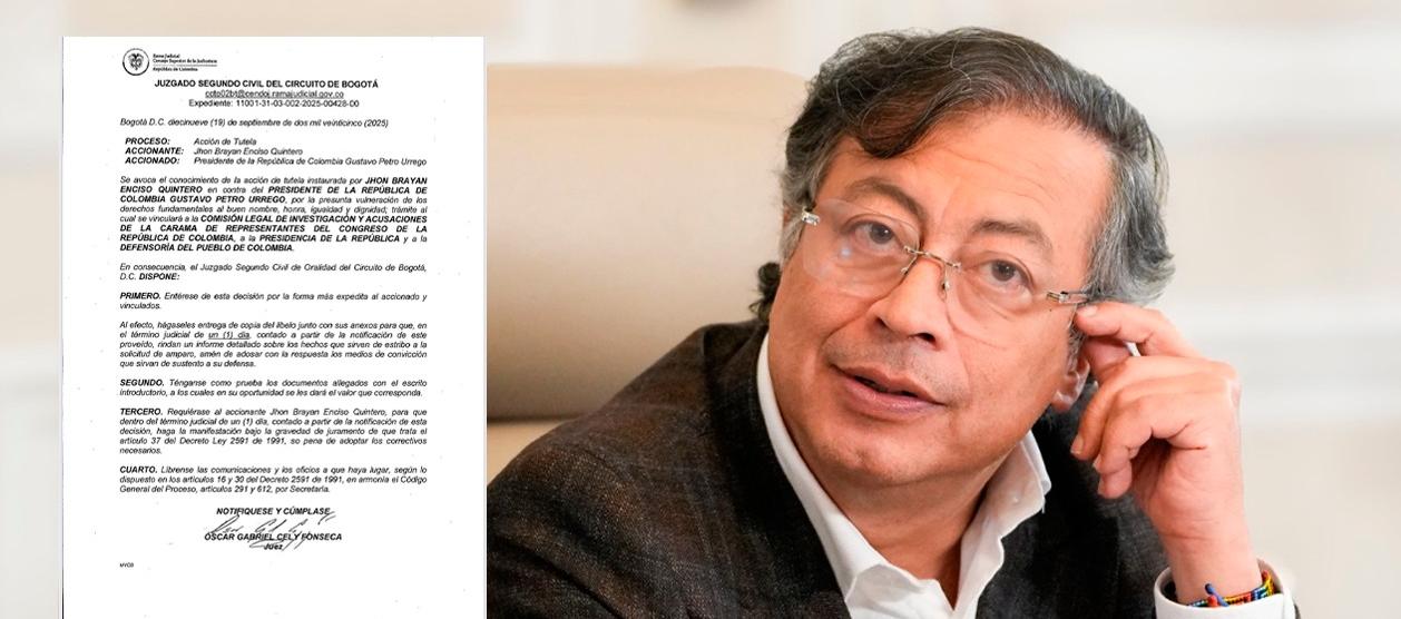 La tutela y el Presidente Gustavo Petro.