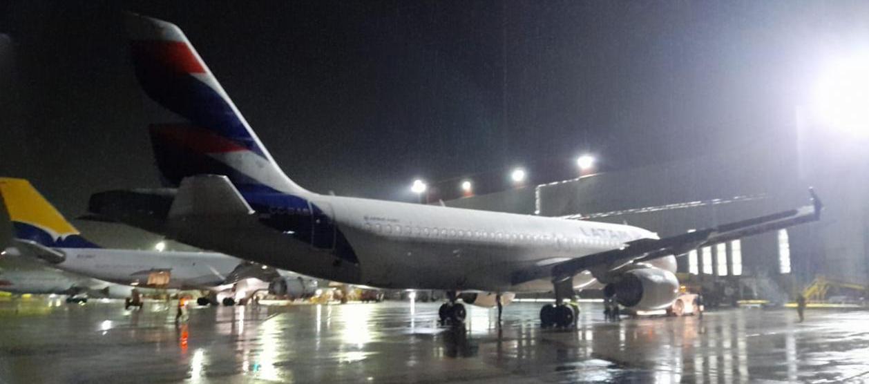 Se espera de la aprobación del aceite de palma como materia prima para el SAF por parte OACI.