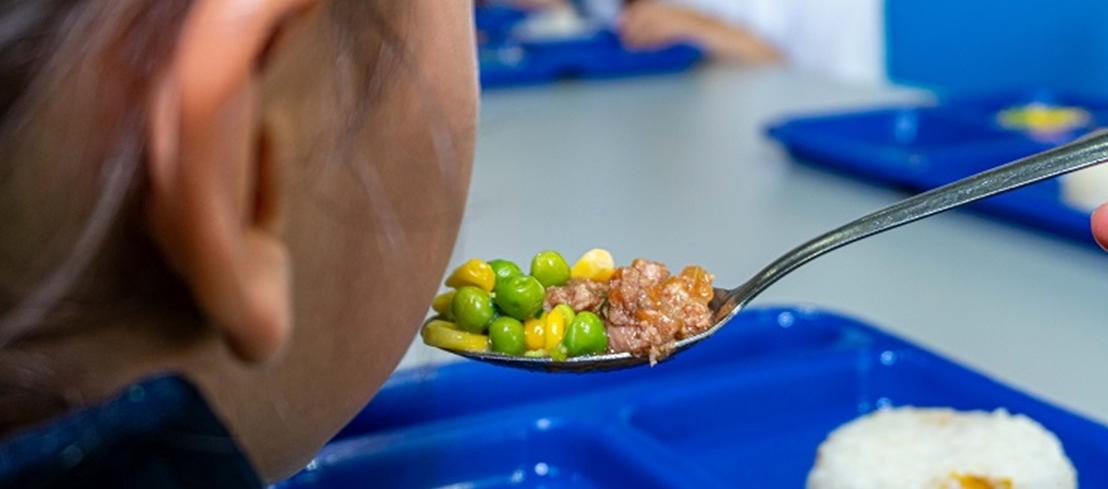 Imagen de referencia del PAE.