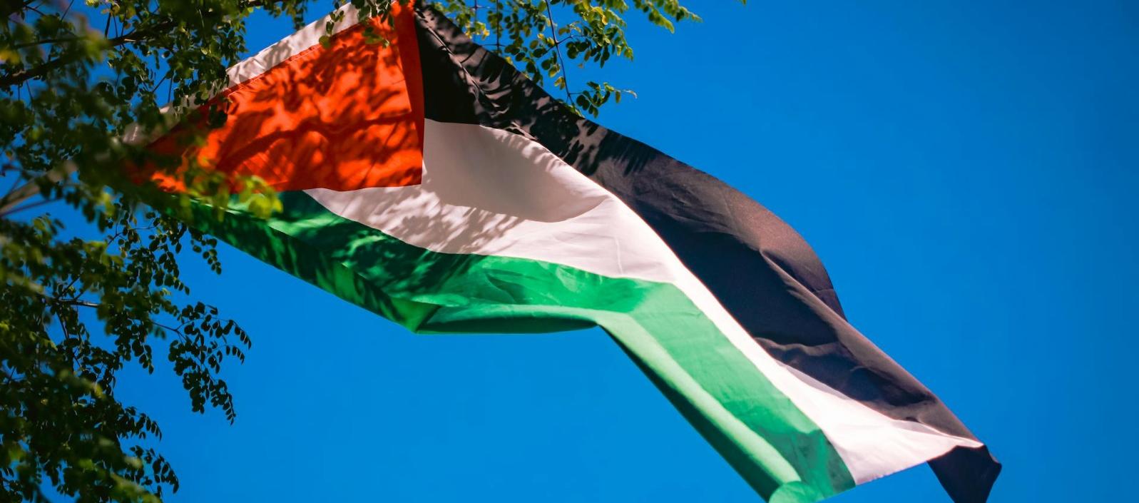 Bandera de Palestina.