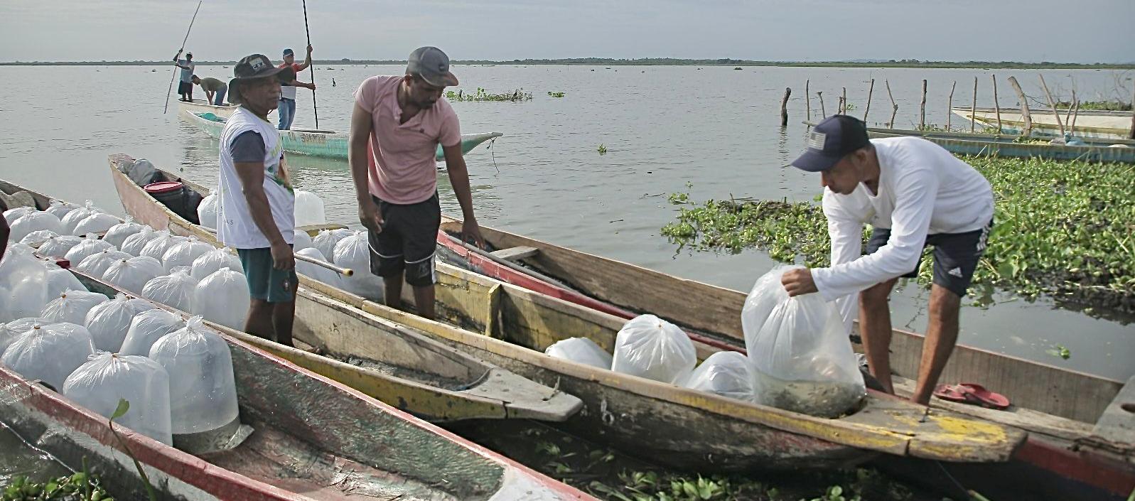 Beneficiarios del ‘Plan + Pescao’