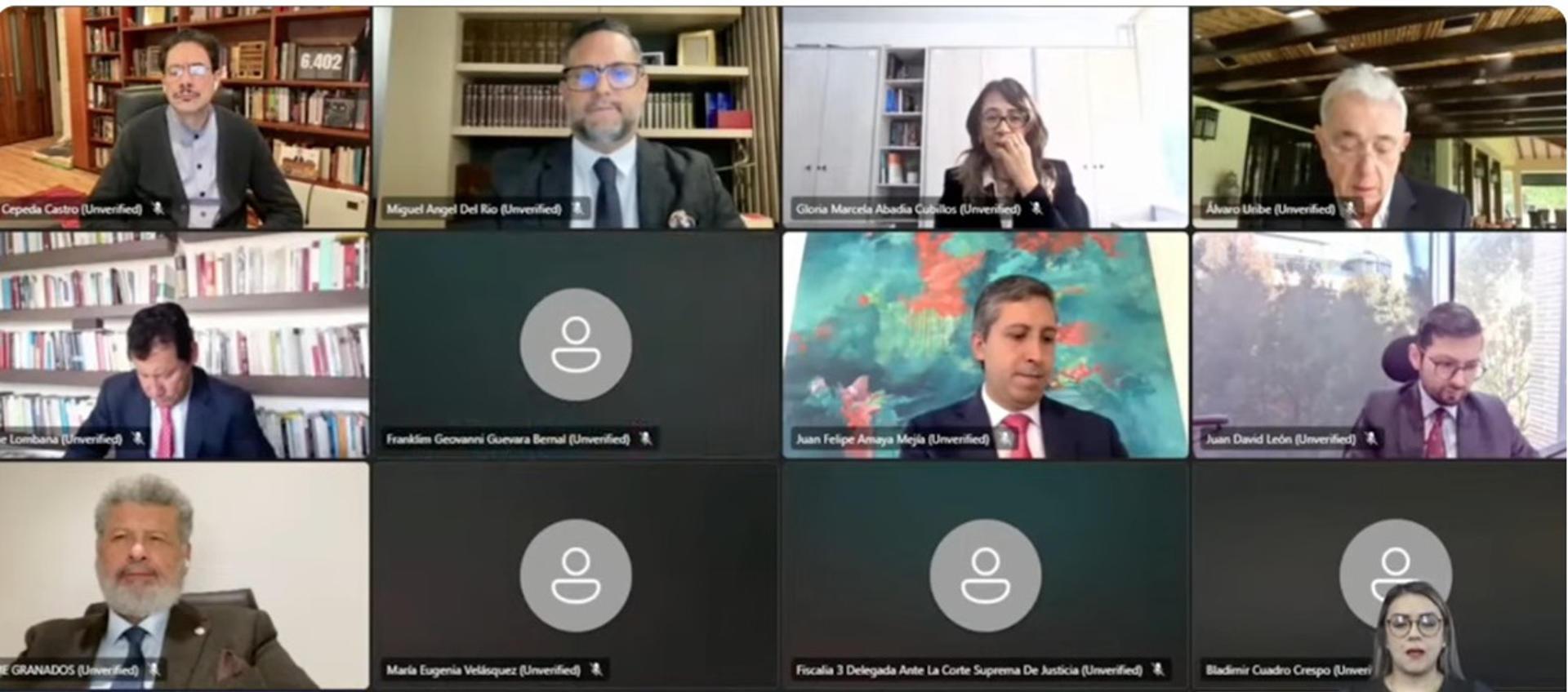 Captura de pantalla de video de la audiencia