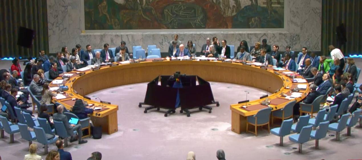 Consejo de Seguridad de la ONU. 