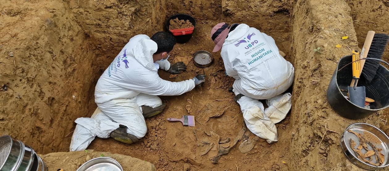 Imagen de referencia.