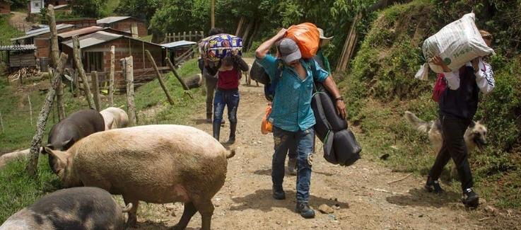 Desplazamiento Forzado