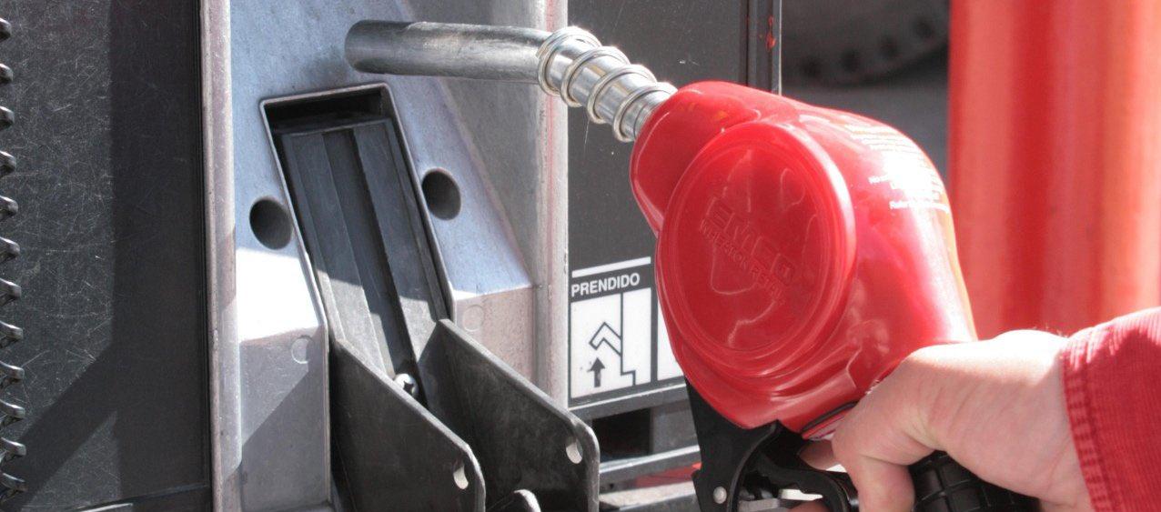 Imagen de referencia.