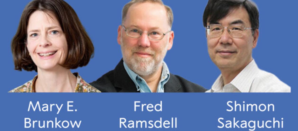 Mary E. Brunkow y Fred Ramsdell y el japonés Shimon Sakaguchi.