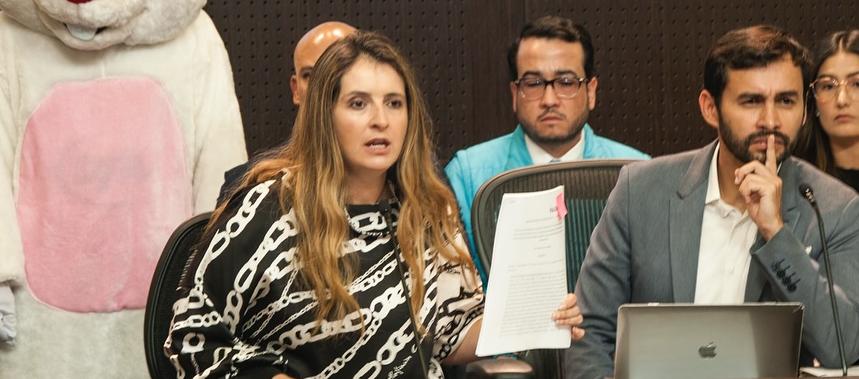 La senadora y precandidata presidencial Paloma Valencia.