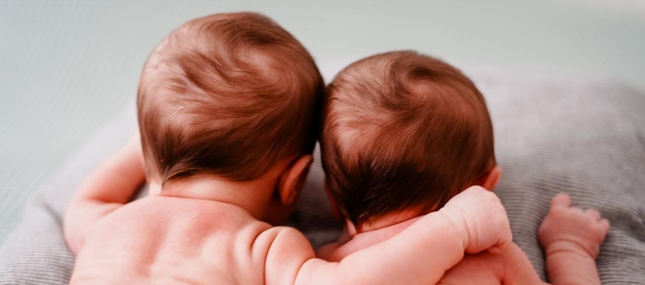 Nacimientos múltiples.