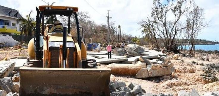 Imagen de referencia.