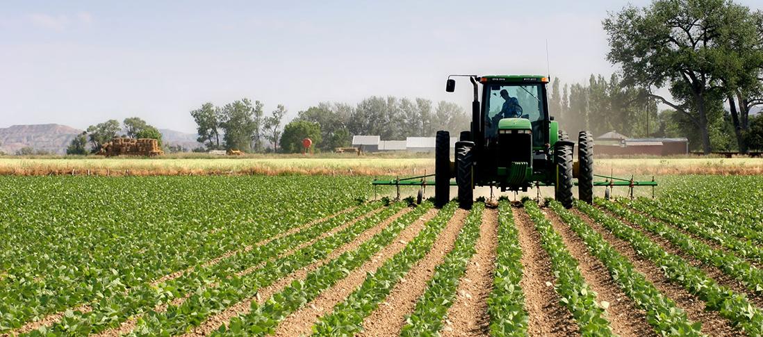 Imagen de referencia.