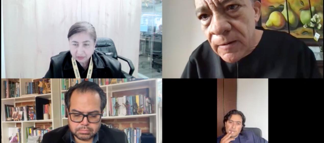 Aspecto de la audiencia virtual de este viernes. 