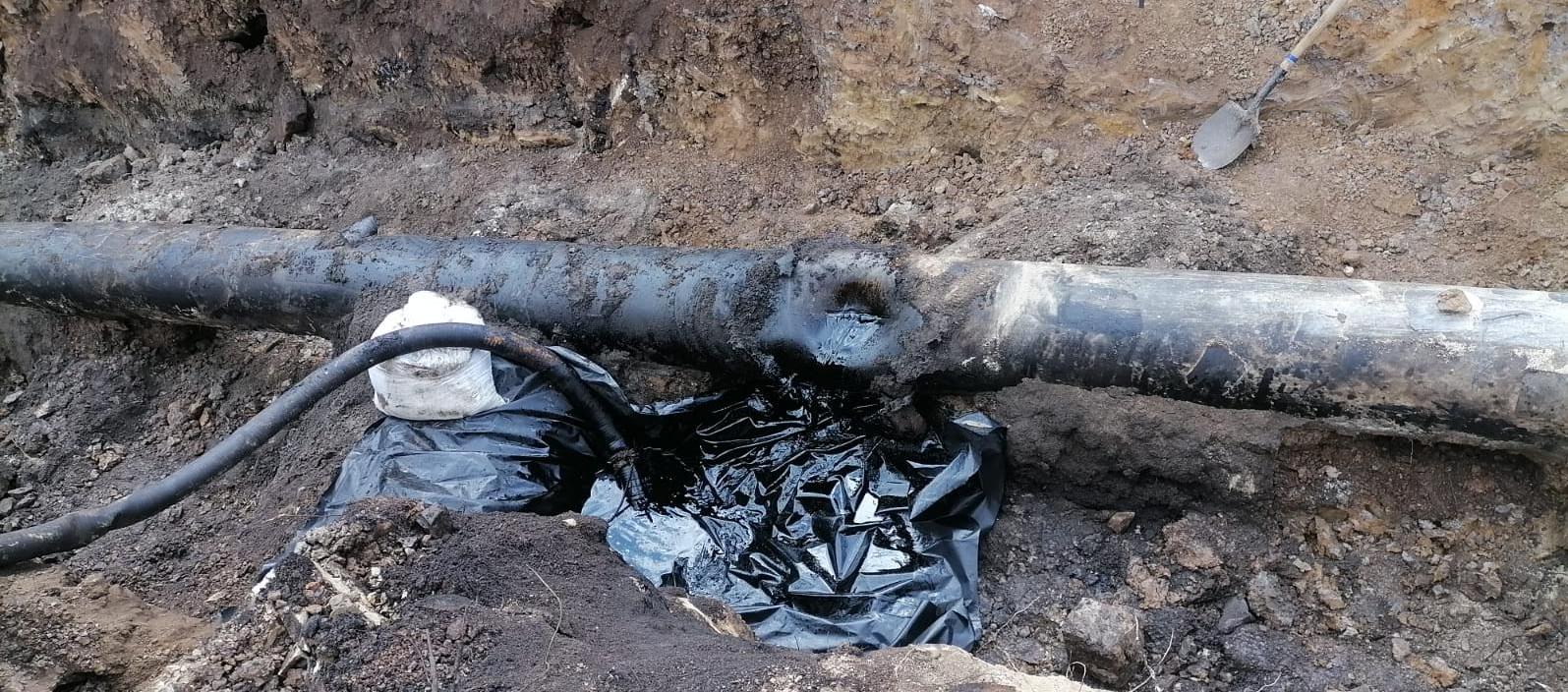 Imagen de referencia.