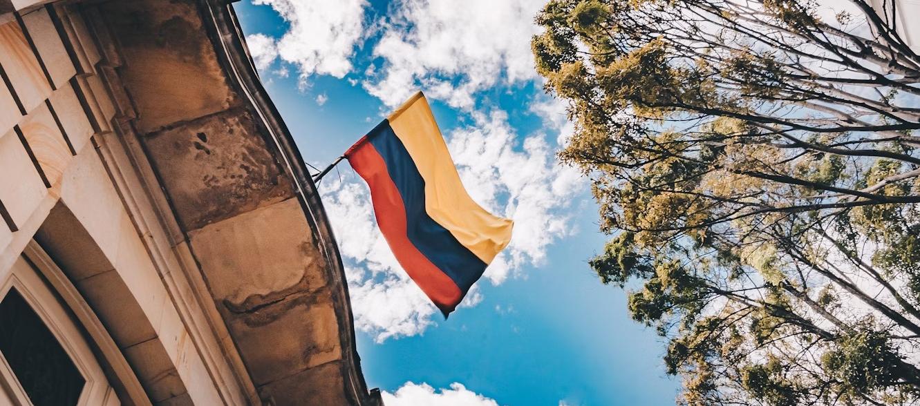 Imagen de referencia.