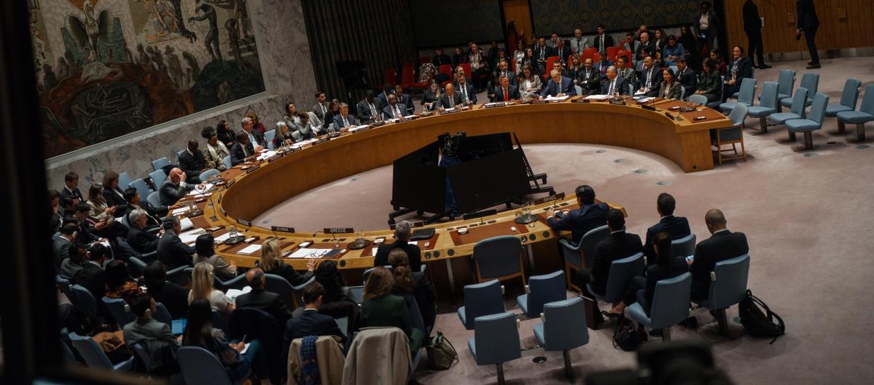 Consejo de Seguridad de la ONU.