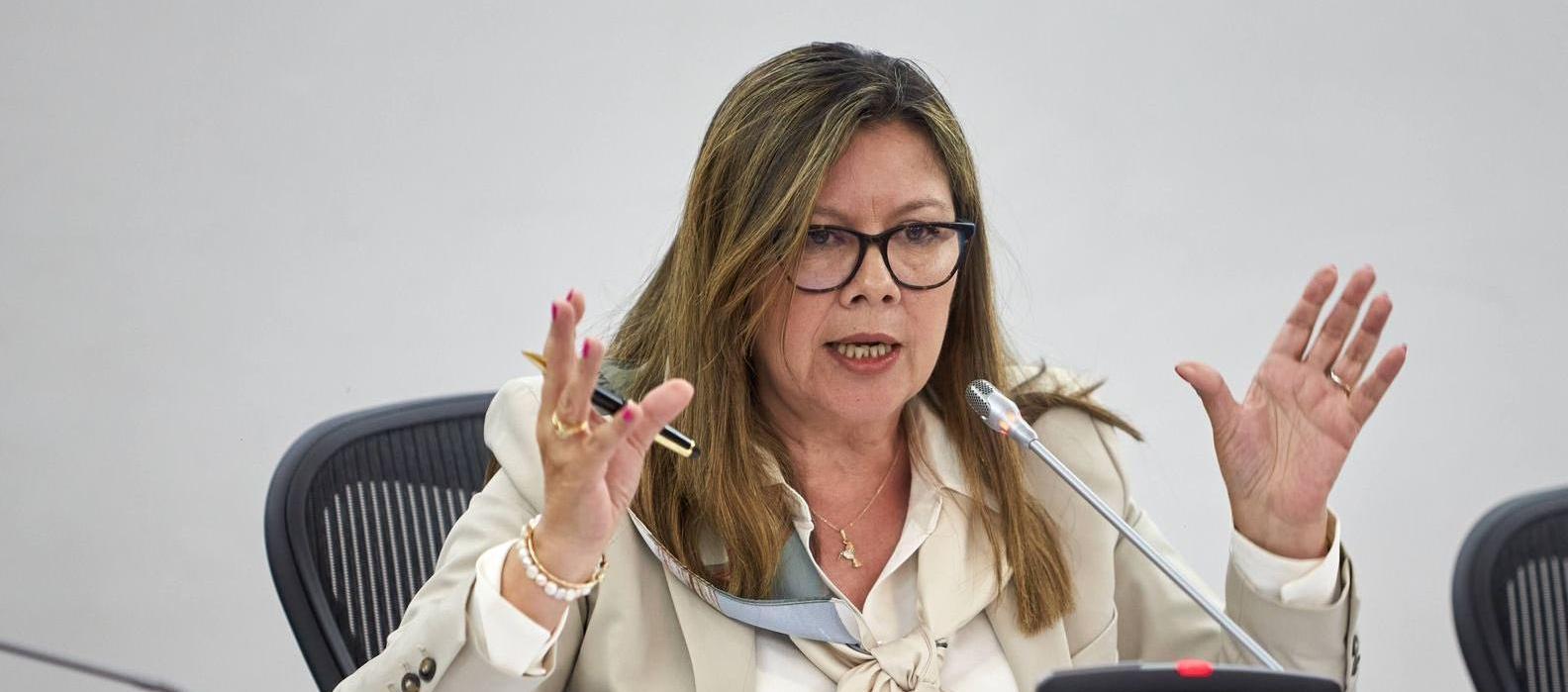 Fiscal Luz Adriana Camargo.