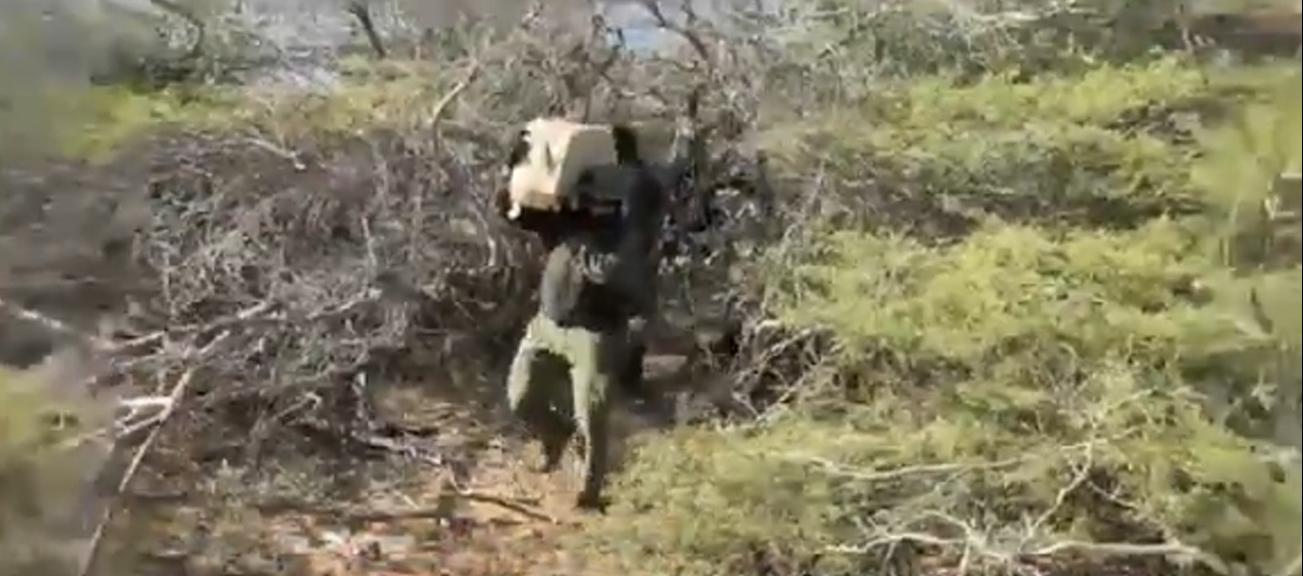 La droga fue hallada en una bodega subterránea en el municipio Uribia. 