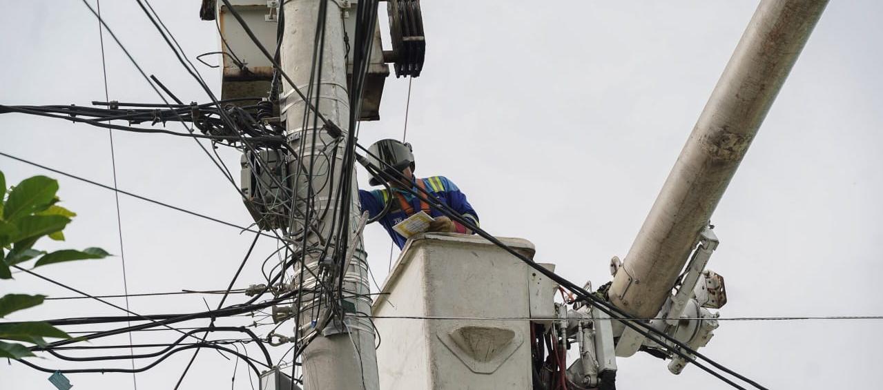 Imagen de referencia.