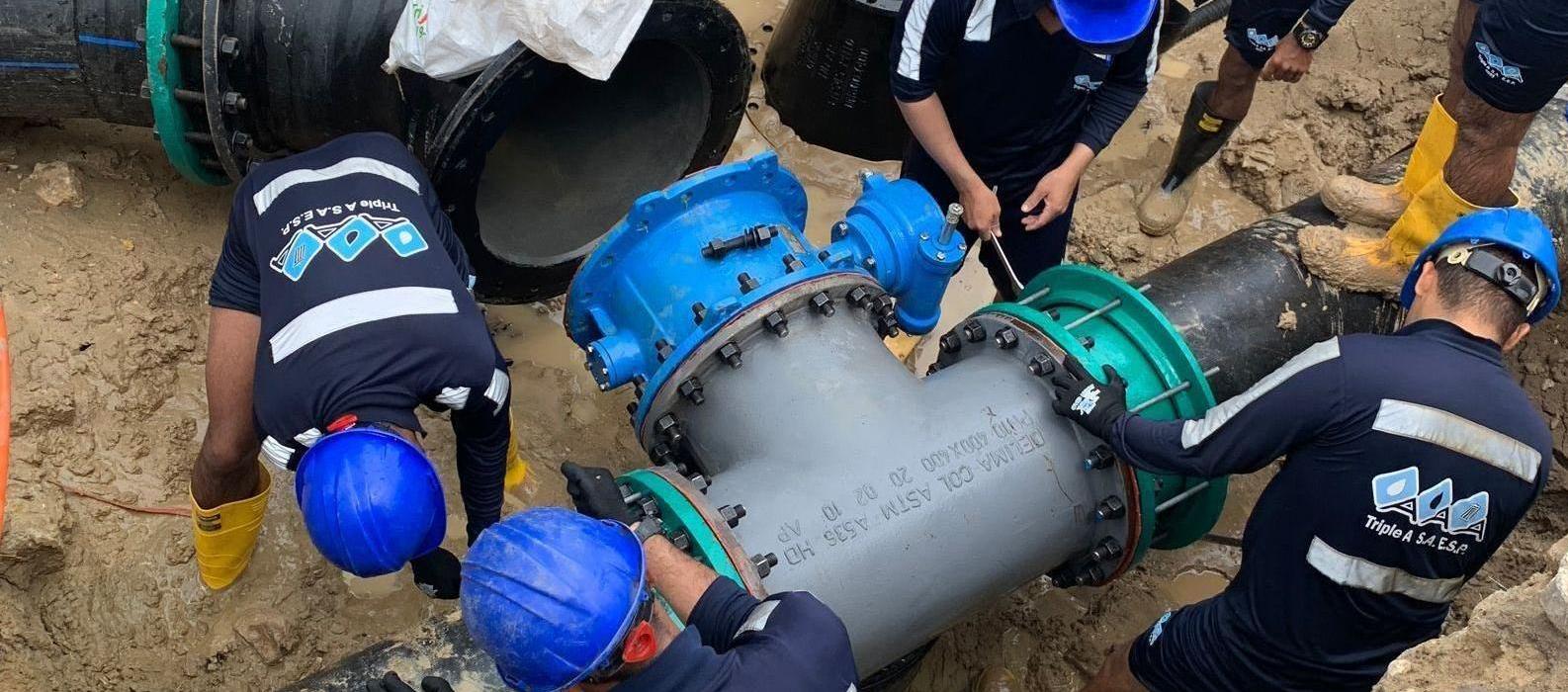 Imagen de referencia.