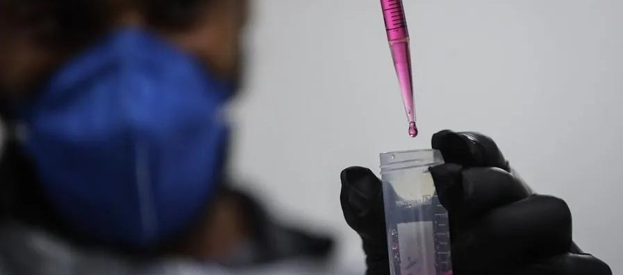 Imagen de referencia.