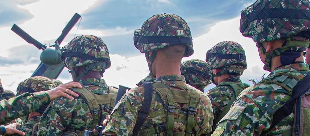 Imagen de referencia.