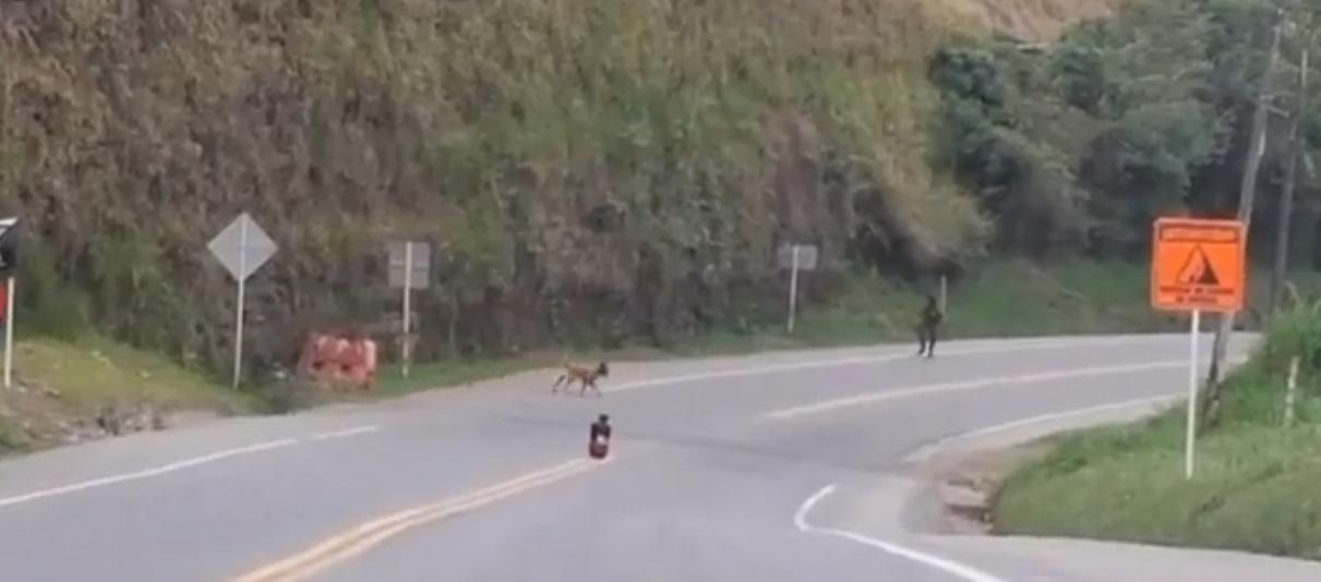 Ejército durante la operación.