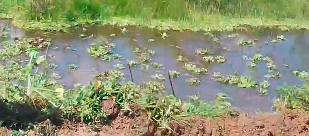 Jagüey donde fue hallado sin vida Isaías de Jesús Castro Aguilar.