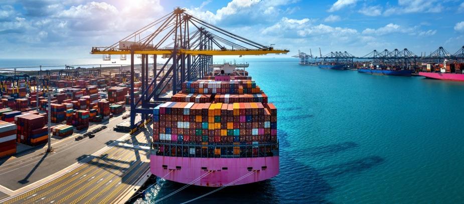 Imagen de referencia.