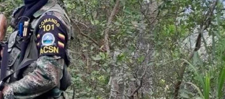 Integrante de las ACSN.