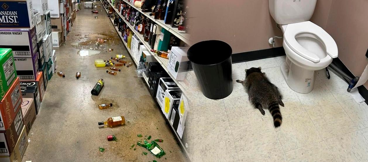 Fotografías difundidas por las autoridades.  