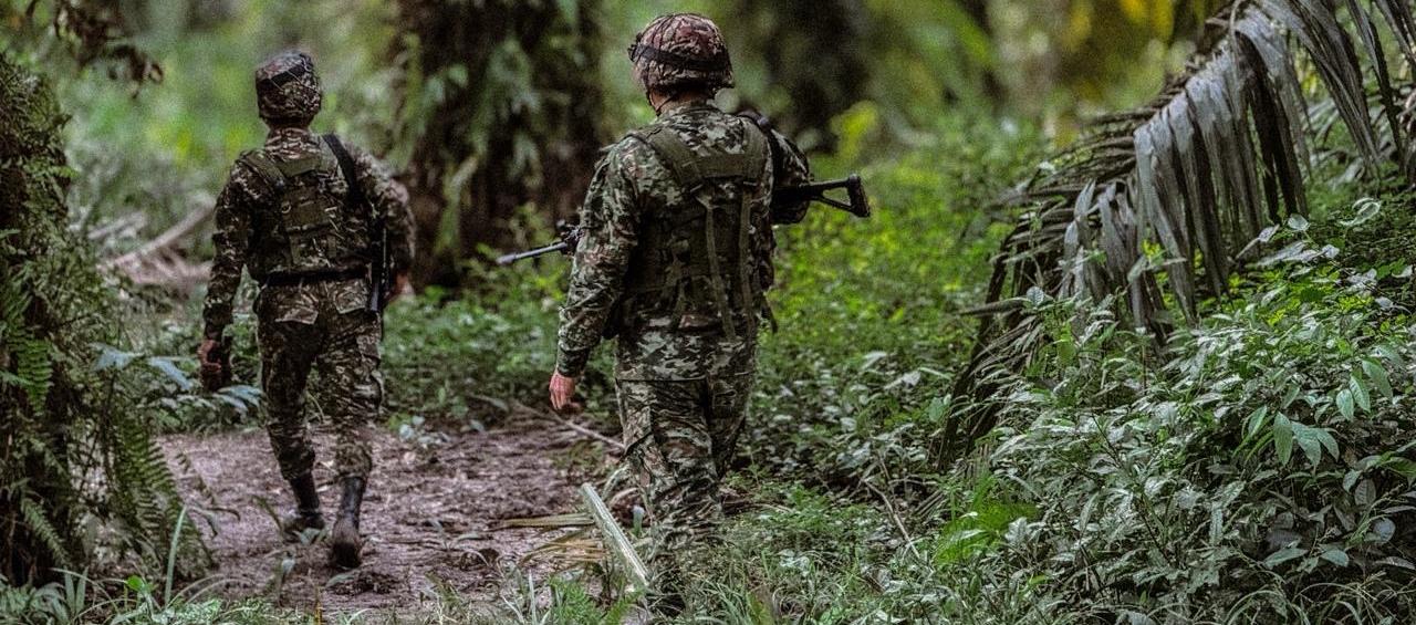 Imagen de referencia.